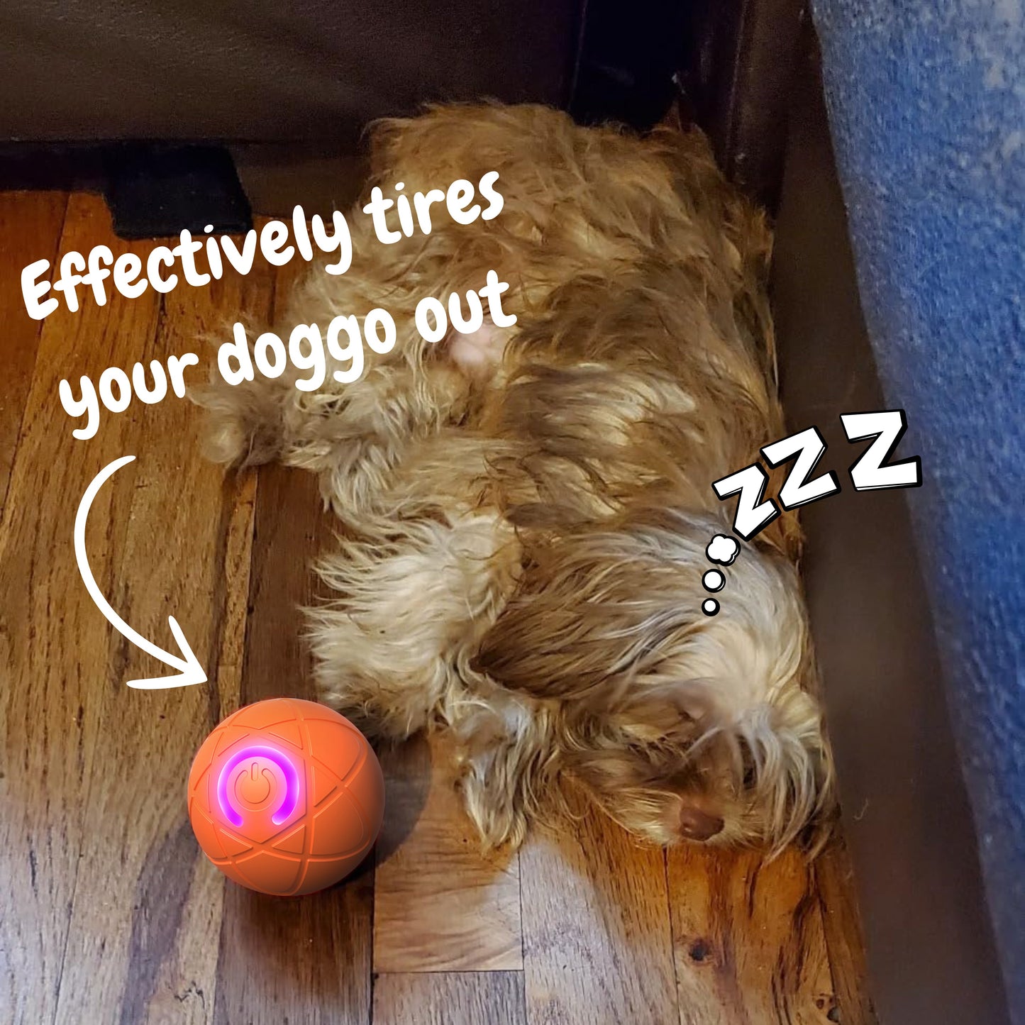 🔥Final 3 Hours: 80% OFF - Pet Bounce Ball for Dogs🐶 & Cats🐱