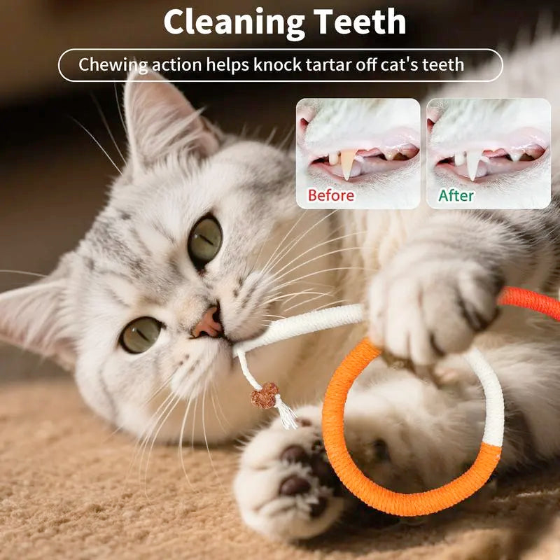 🔥Final 3 Hours: 60% OFF - 🐾 Silent & Durable Cat Toy — Safe Cotton Rope, Endless Fun