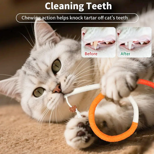 🔥Final 3 Hours: 60% OFF - 🐾 Silent & Durable Cat Toy — Safe Cotton Rope, Endless Fun